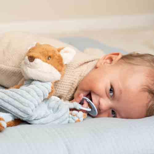 Little Dutch-Doudou Raposa