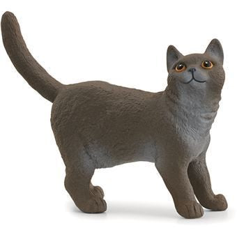 Schleich - Gato Britânico pelo curto