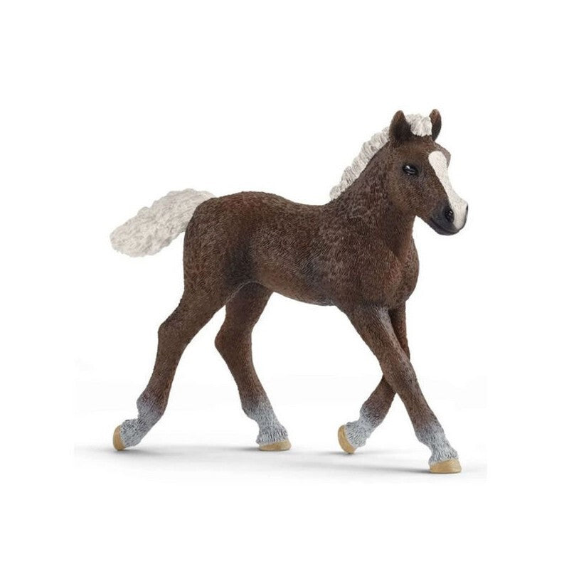 Schleich - Potro Black Forest