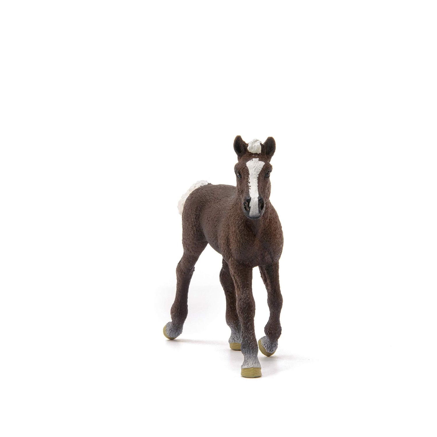 Schleich - Potro Black Forest