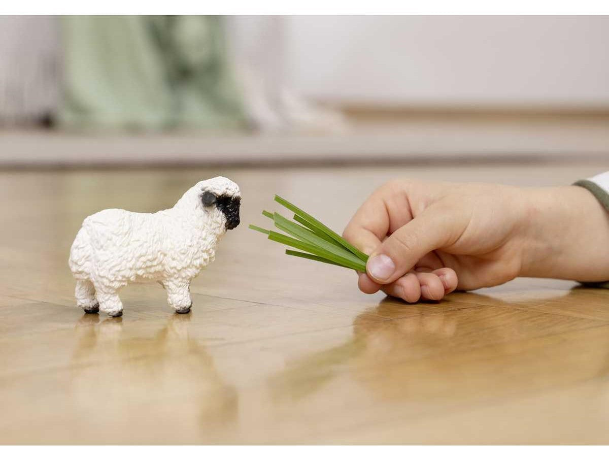 Schleich - Ovelha Walliser branca e preta