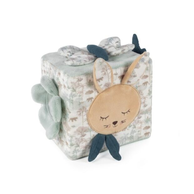 Cubo de Atividades Rabbit Serengueti - Pasito a Pasito