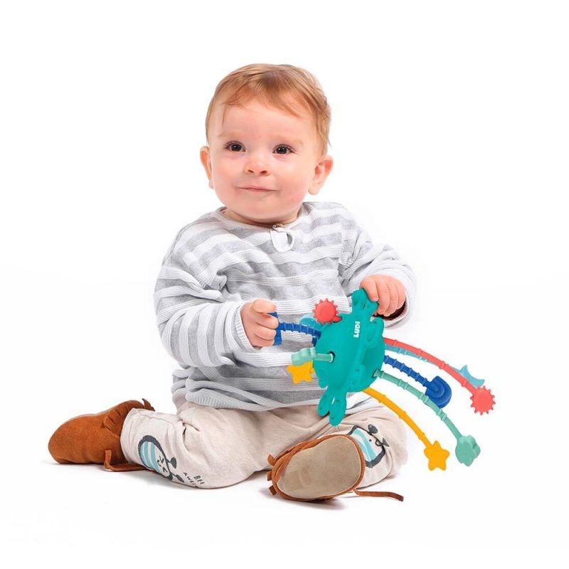Brinquedo Sensorial Zippy Toy - Ludi