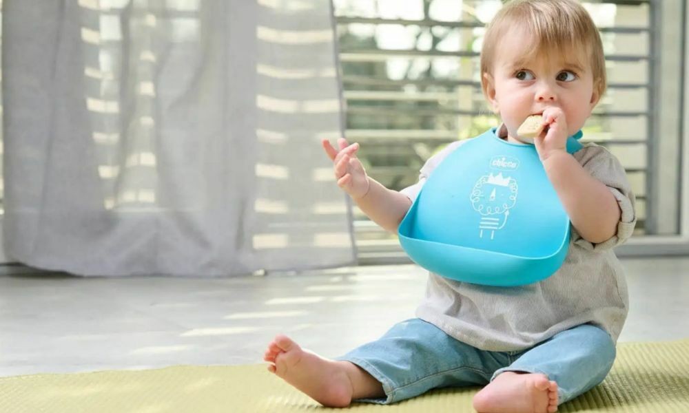 Babete Silicone Cinza - Chicco