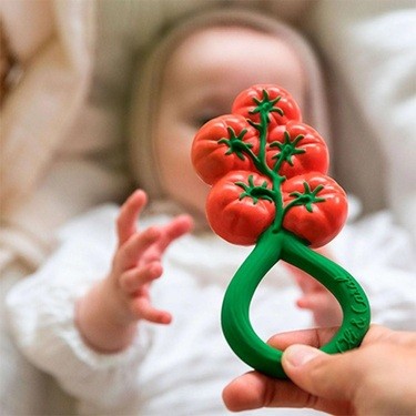 Roca Mordedor Tomate - Oli & Carol