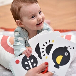 Jogo Grande Contraste Flash Cards 0M+ - Banana Panda