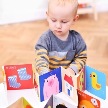 Conjunto de Livros Pequenos Exploradores - Banana Panda