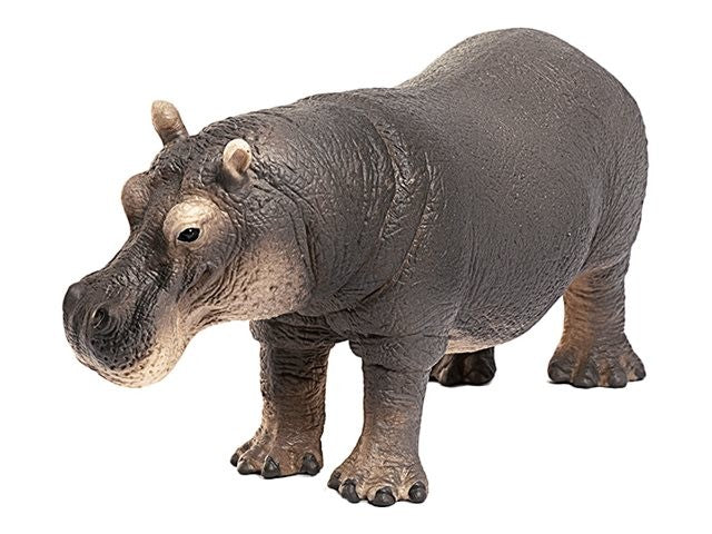 Hipópotamo - Schleich