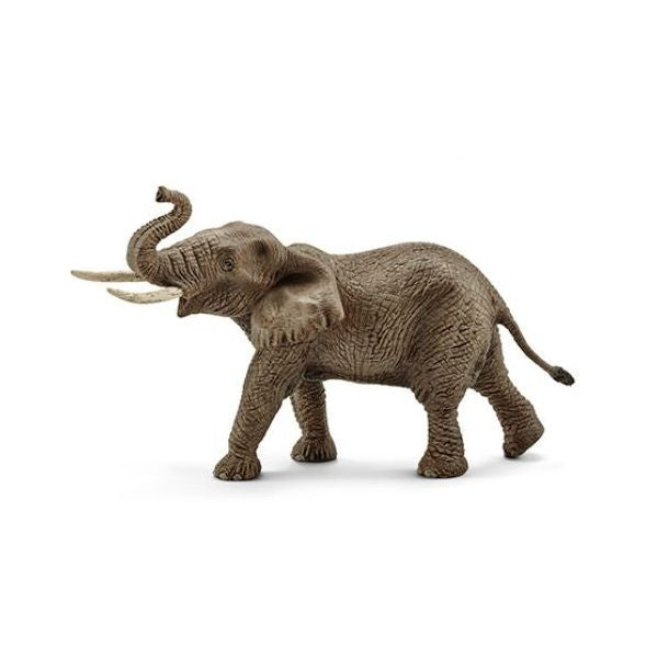 Elefante Africano Macho - Schleich