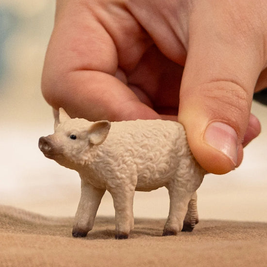 Leitão Peludo - Schleich
