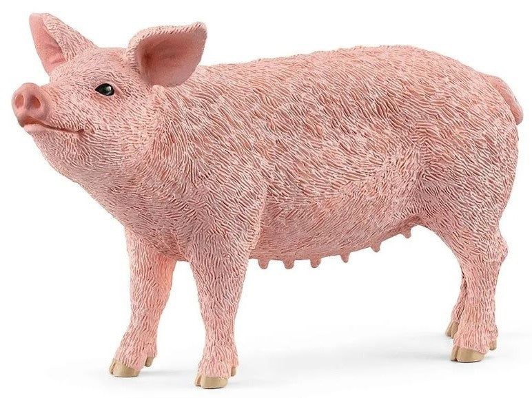 Porco - Schleich