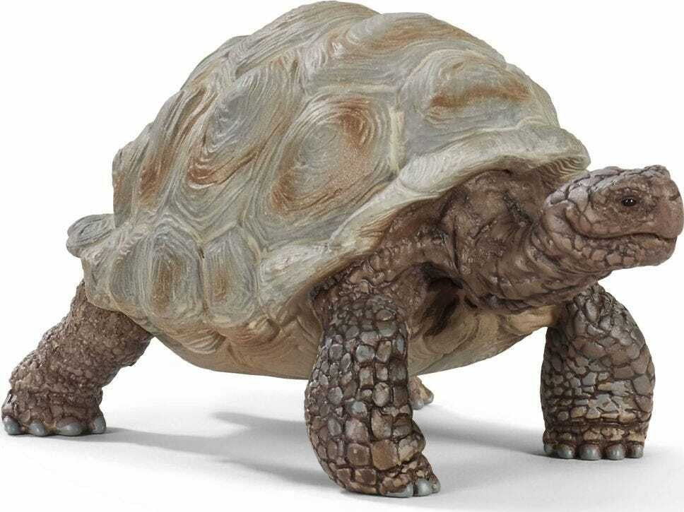 Animal Tartaruga - Schleich