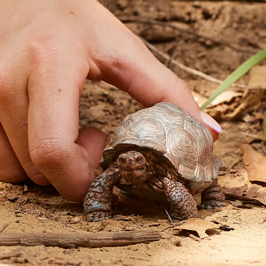 Animal Tartaruga - Schleich