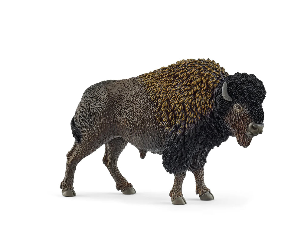 Bisonte - Schleich