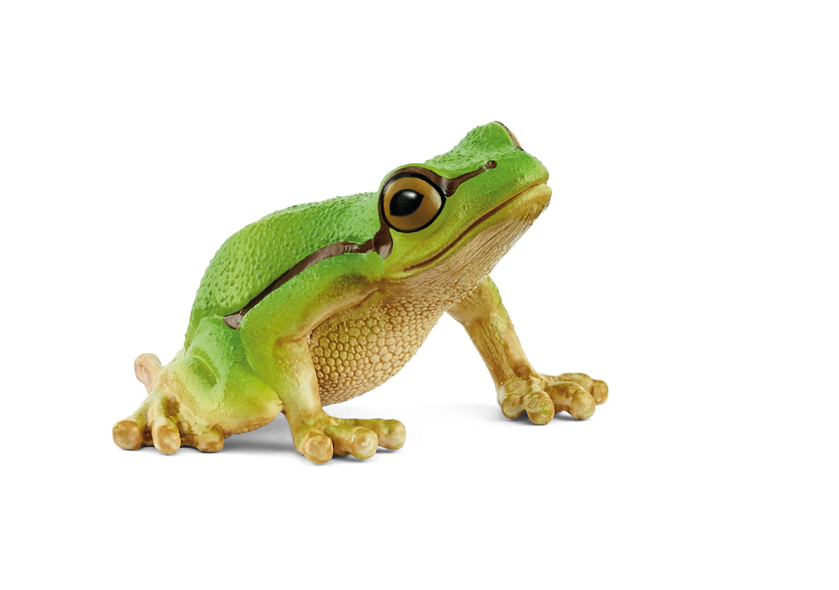 Rã Arboricola Europeia - Schleich