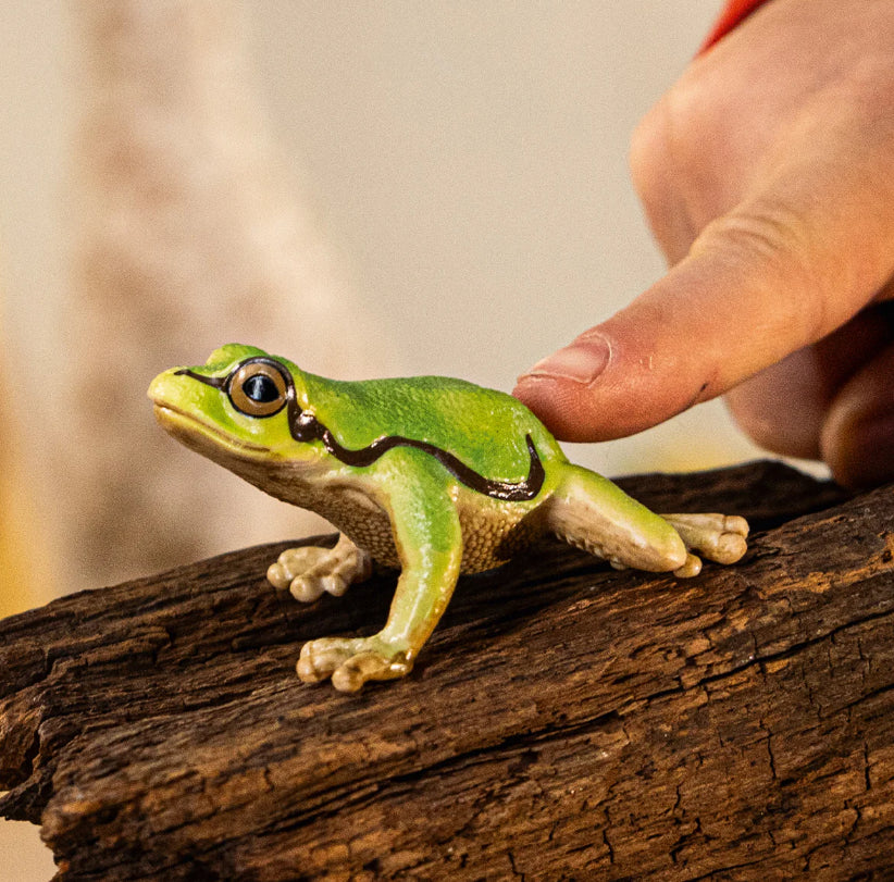Rã Arboricola Europeia - Schleich