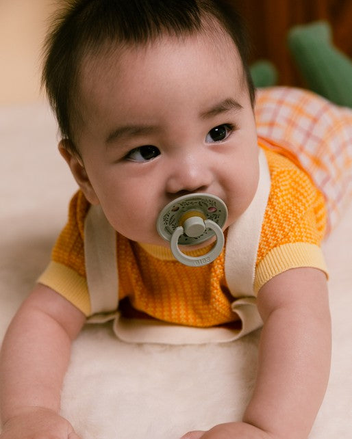 Conjunto 2 Chupetas Holiday Leaf Sage/Hunter Green 0-6M - Bibs