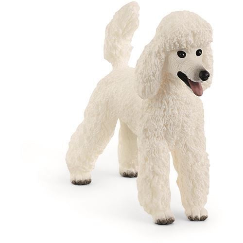 Schleich - Caniche