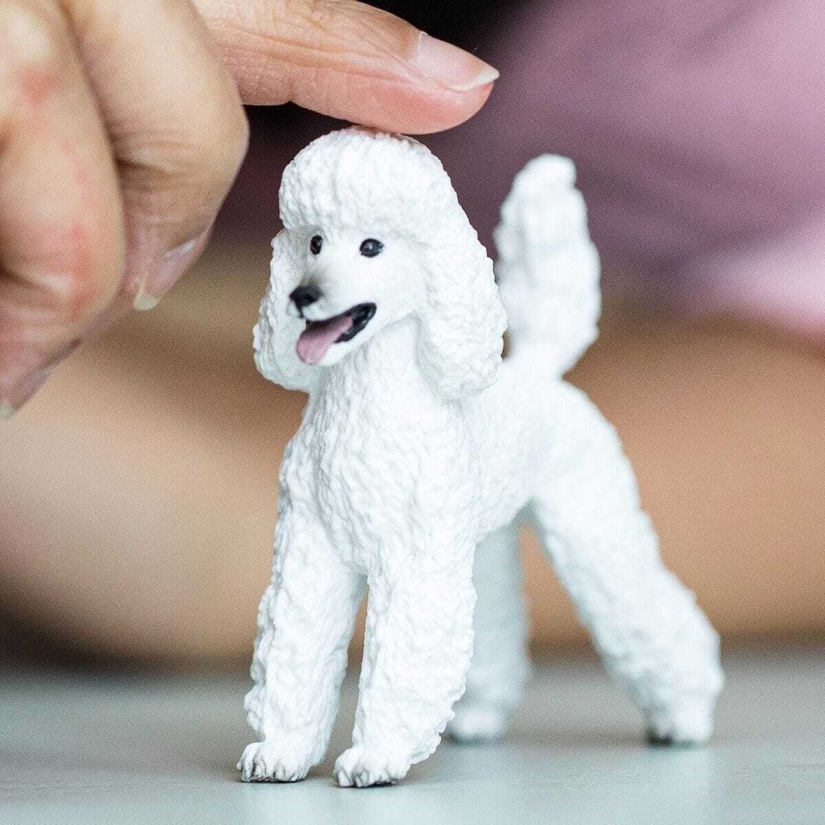 Schleich - Caniche