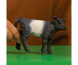 Schleich- Cria Bezerro Galloway