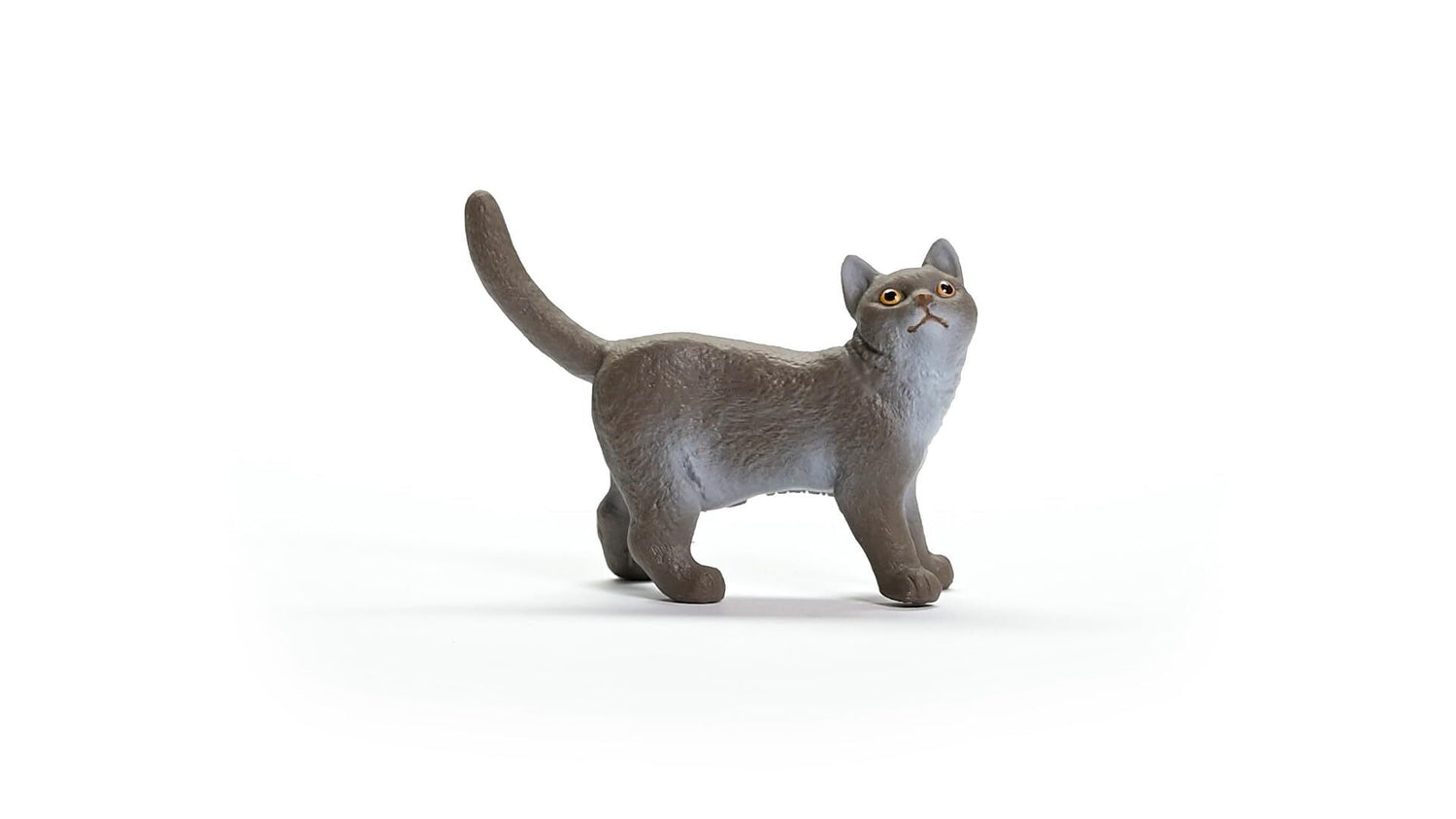Schleich - Gato Britânico pelo curto