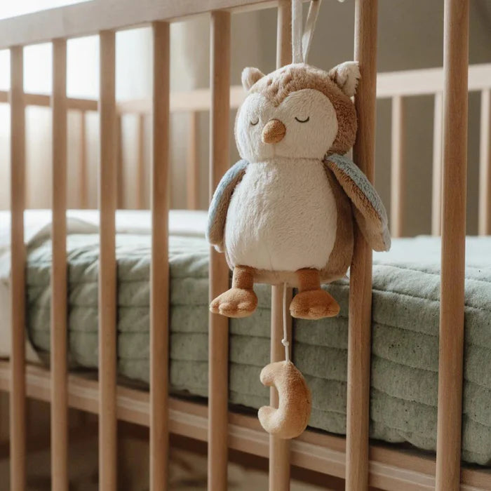 Caixa de Musica Coruja - Little Dutch