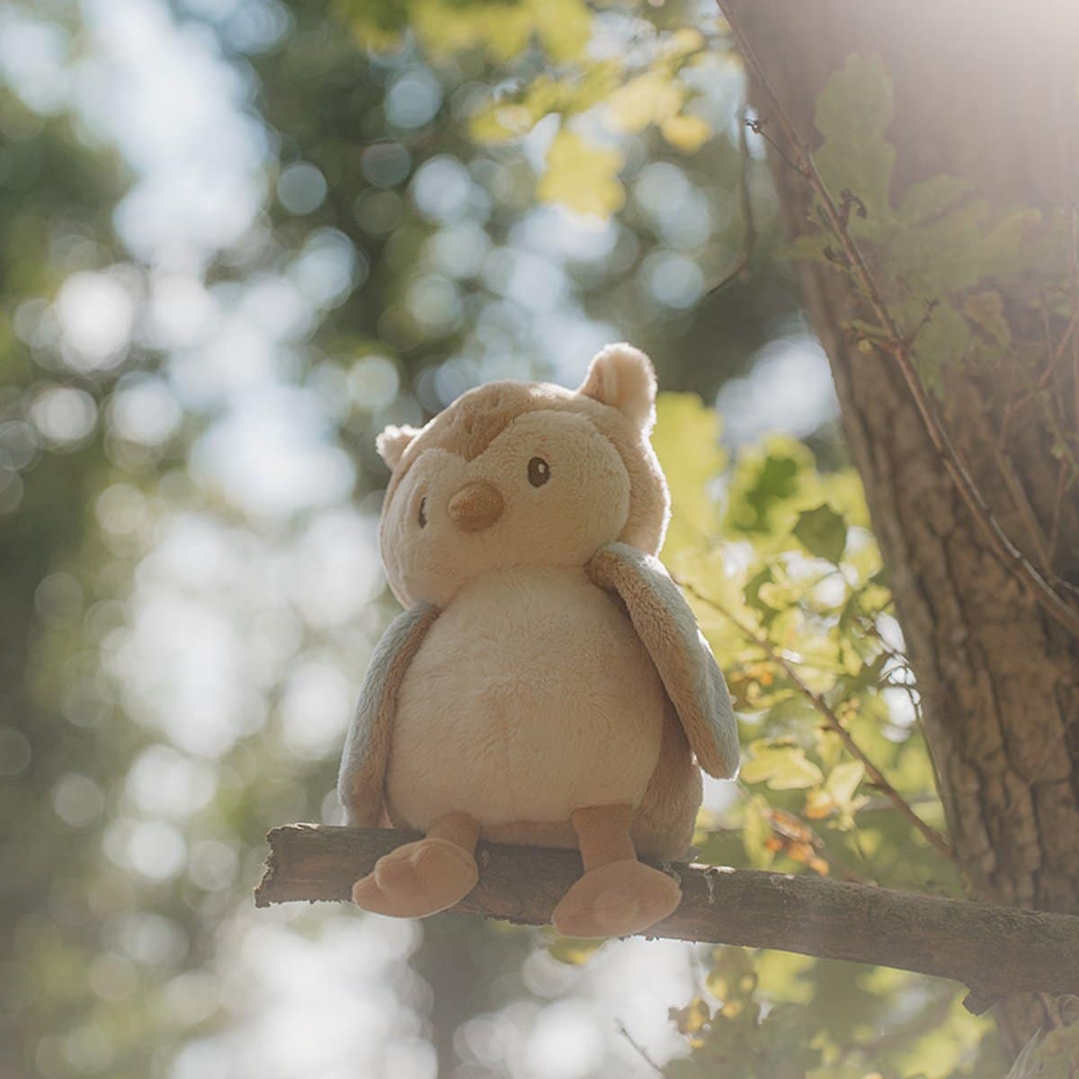 Little Dutch - Peluche Fofinho Coruja