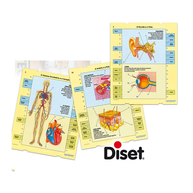 Jogo Lectron - Conhece o Teu Corpo - Diset