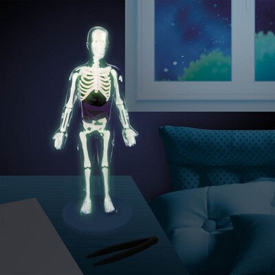 Corpo Humano com órgãos macios/brilha no escuro - Buki