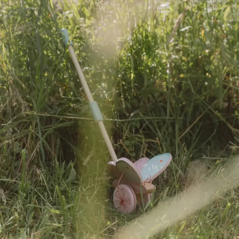 Borboleta de Empurrar - Little Dutch