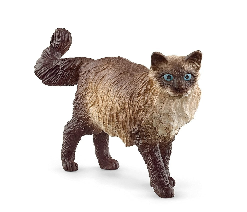 Schleich- Gato Ragdoll