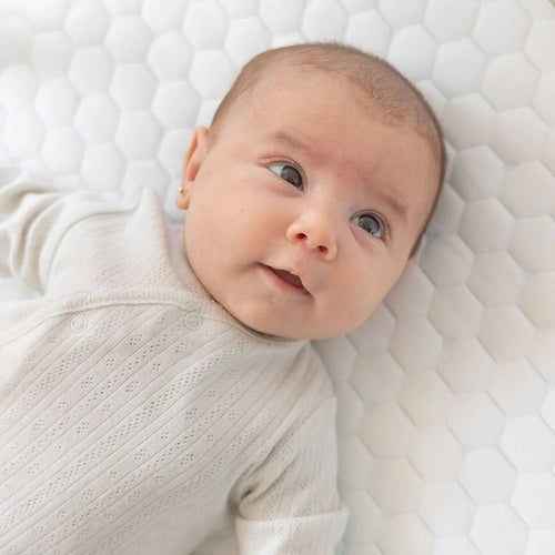 Ecus - Colchão Goli Mimo 120x60