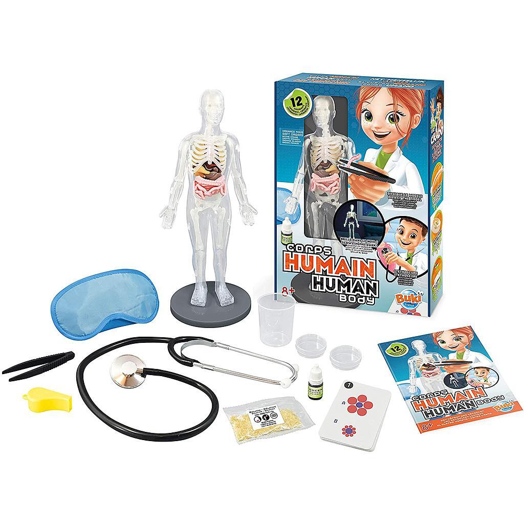 Corpo Humano com órgãos macios/brilha no escuro - Buki