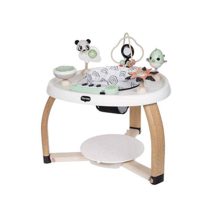 Tiny Love - Centro de Atividades 5in1